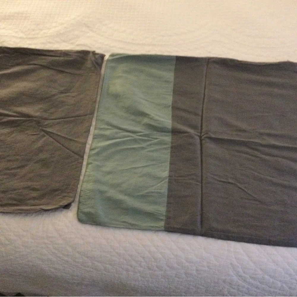 West Elm 100% Silk Pillow Shams